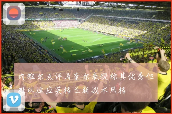 内维尔点评马奎尔表现称其优秀但难以适应英格兰新战术风格