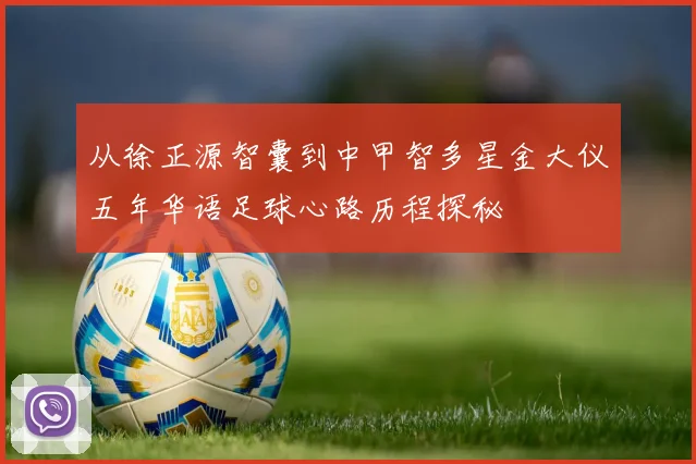 从徐正源智囊到中甲智多星金大仪五年华语足球心路历程探秘