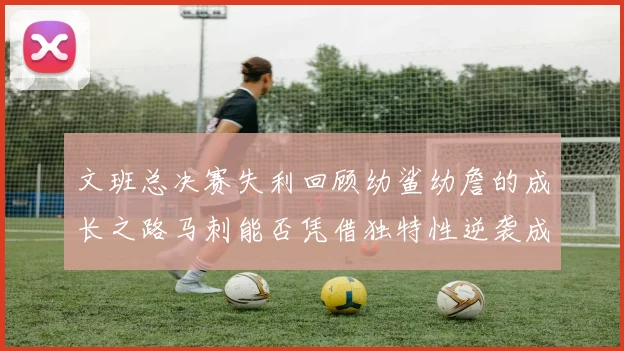 文班总决赛失利回顾幼鲨幼詹的成长之路马刺能否凭借独特性逆袭成功