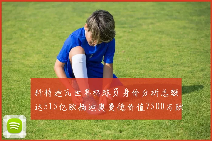 科特迪瓦世界杯球员身价分析总额达515亿欧扬迪奥曼德价值7500万欧